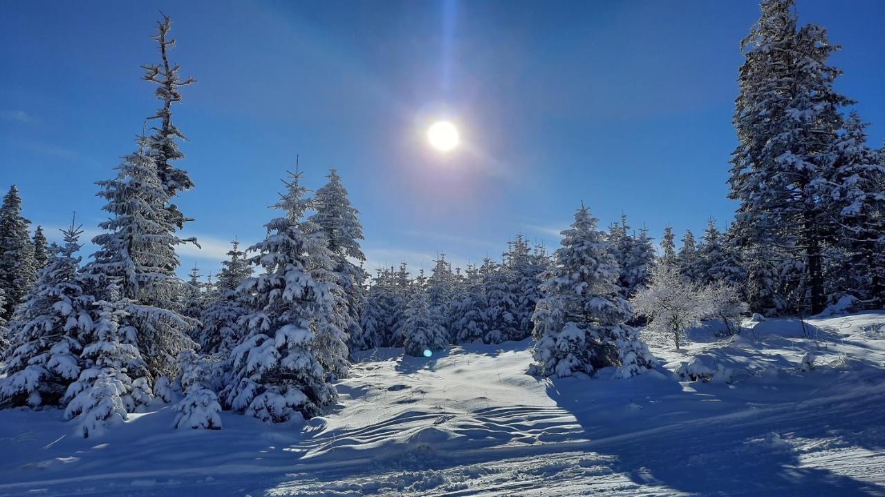 Belle Air Lodge Mönichkirchen 외부 사진